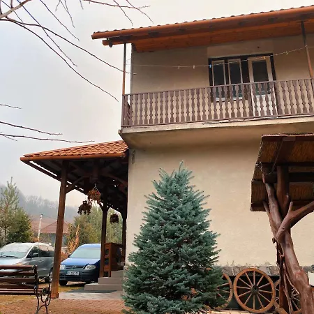 де кампо * Chynadiyovo