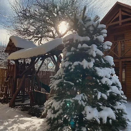 де кампо 게스트하우스 Chynadiyovo