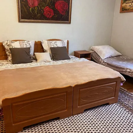 де кампо Guest house Chynadiyovo