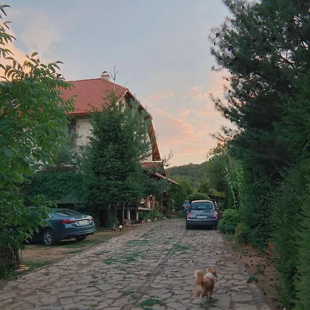 де кампо Chynadiyovo