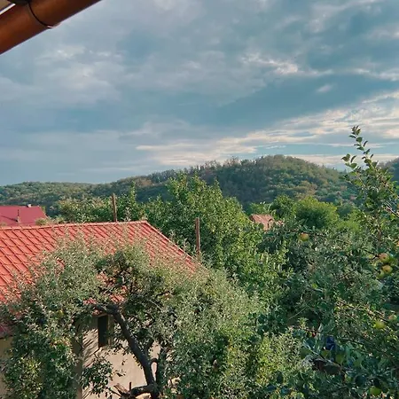 Гостевой дом де кампо Чинадиево