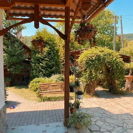 де кампо Guest house Chynadiyovo