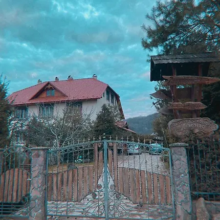 де кампо בית הארחה Chynadiyovo
