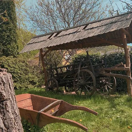 де кампо Chynadiyovo