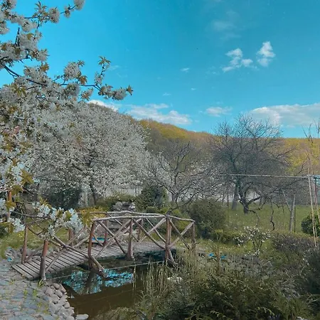 де кампо Chynadiyovo