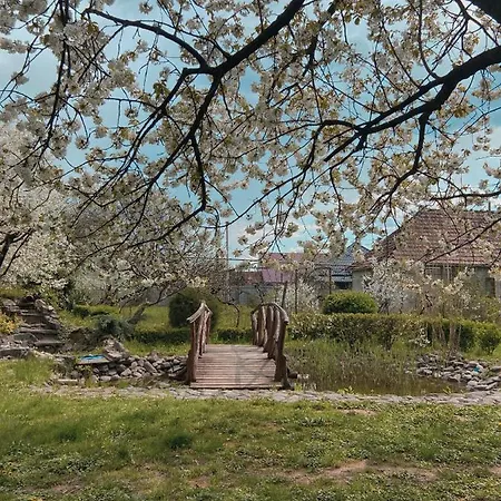 де кампо Maison d'hôtes Chynadiyovo