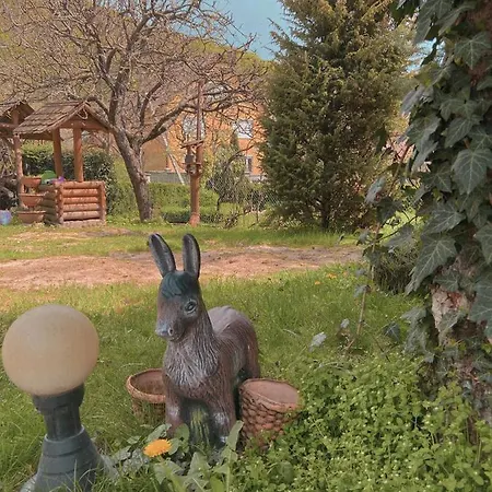 де кампо Chynadiyovo