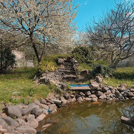 де кампо 게스트하우스 Chynadiyovo