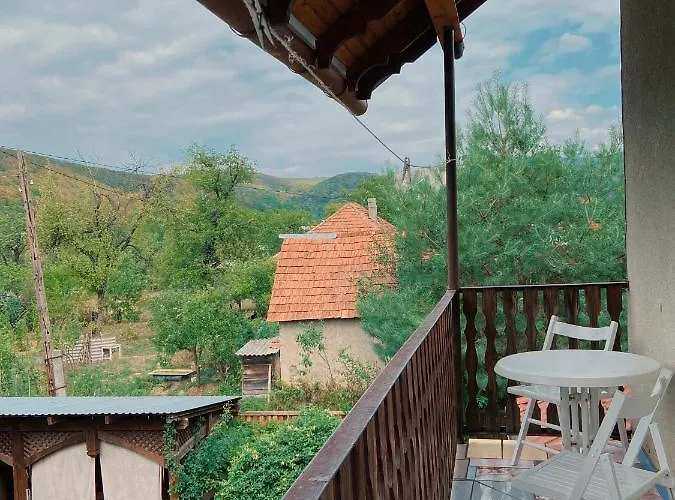 де кампо * Chynadiyovo