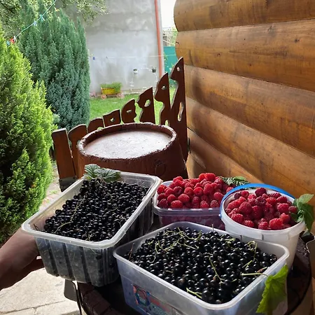де кампо