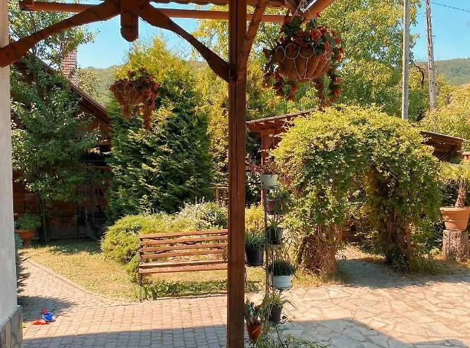 де кампо Guest house Chynadiyovo
