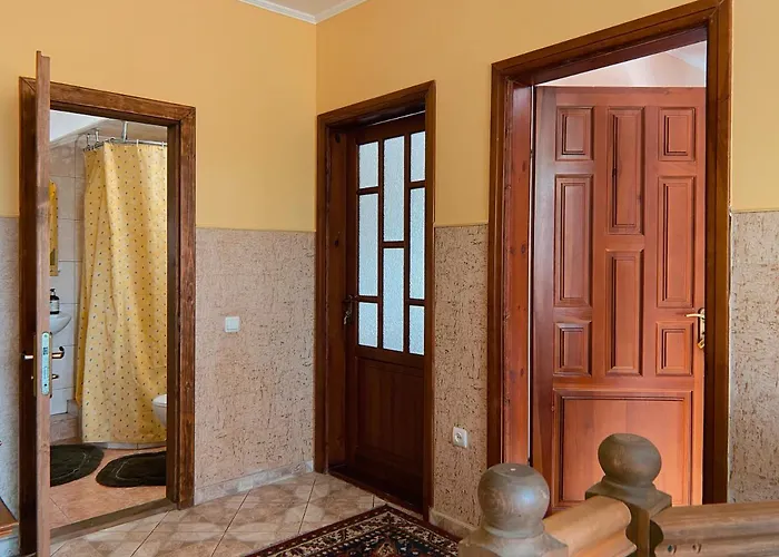 Guest house де кампо Chynadiyovo