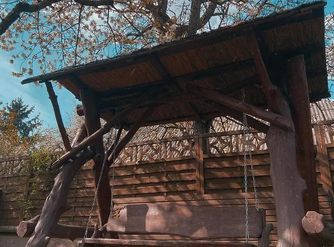 Guest house де кампо Chynadiyovo