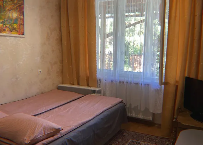 де кампо Guest house Chynadiyovo